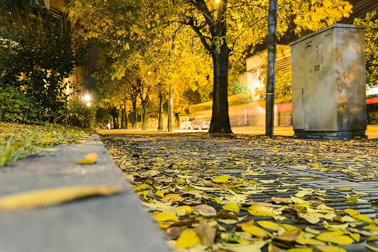 Calle de noche con hojas amarillas de otoño, en el chat de Lavalle