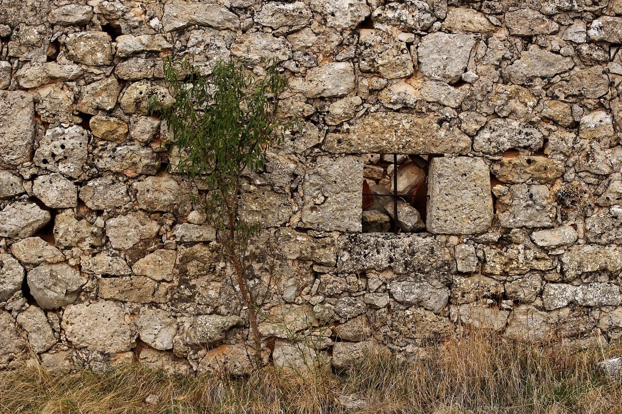 Muro de piedra con árbol, ventana y cruz, en la sala de chat de Arboleas