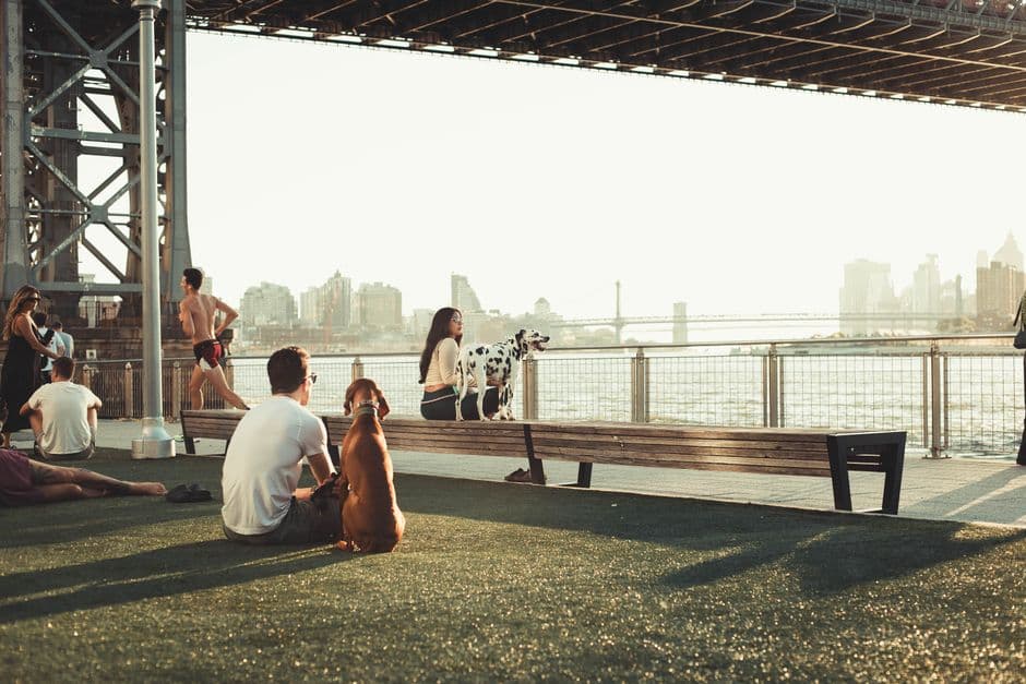 Gente relajada bajo el puente de Brooklyn, día soleado, en el chat de Peoria