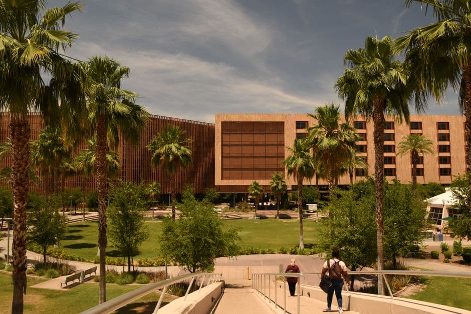 Palmeras en una plaza del campus universitario, en el chat de Tempe