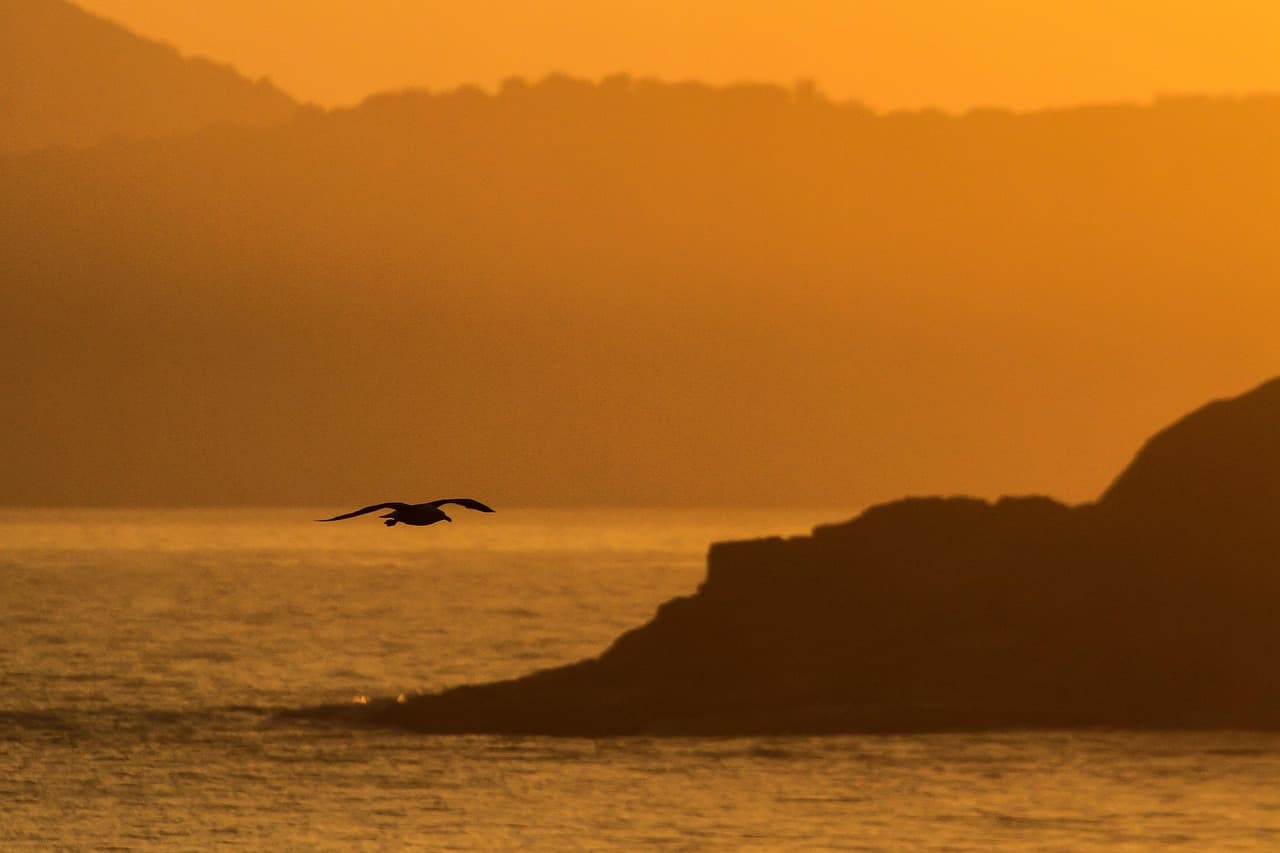 Atardecer cielo anaranjado sobre el mar y barcos, en la sala de chat de Cabo Frío