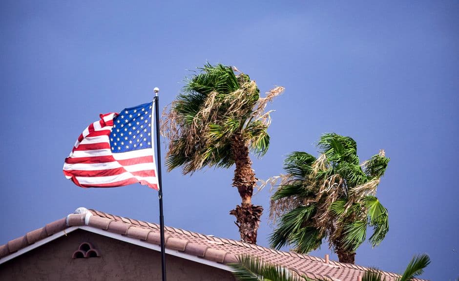 Bandera estadounidense ondeando junto a palmeras con viento, en el chat de Palmdale