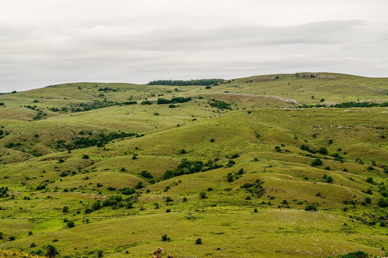 Paisaje de campos y colinas suaves, en el chat de Trinidad