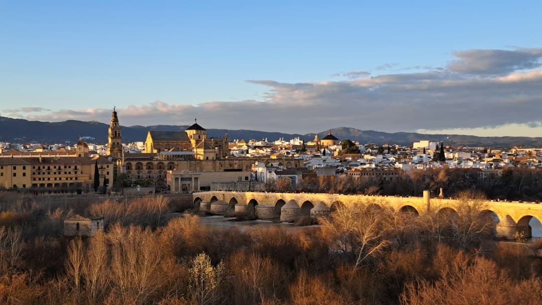 Ciudad con puente y edificios al fondo, en la sala de chat de Moriles