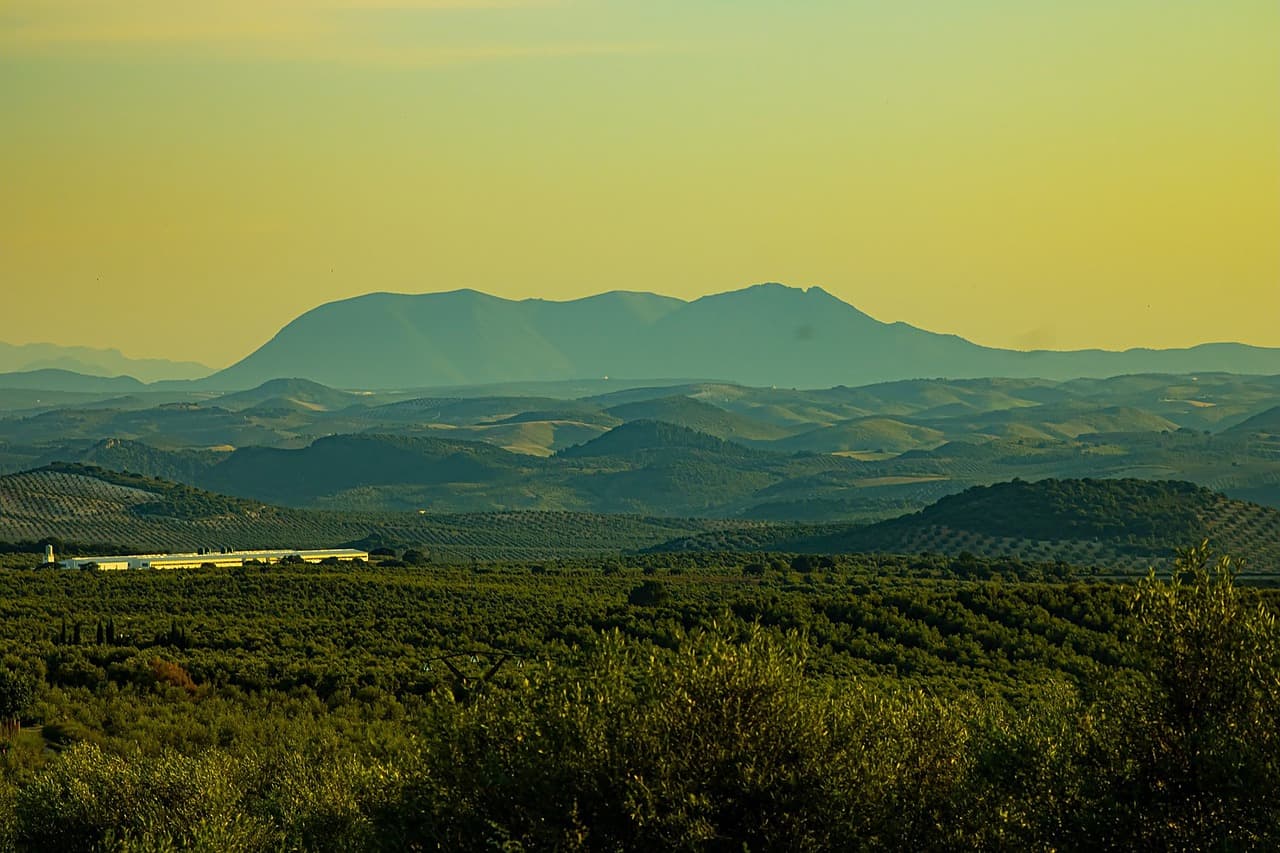 Paisaje de campos verdes bajo un cielo anaranjado al atardecer, en el chat de Gilena