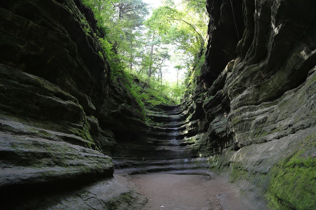 Parque natural con un paisaje de naturaleza, en el chat de Proviso (condado de Cook, Illinois)