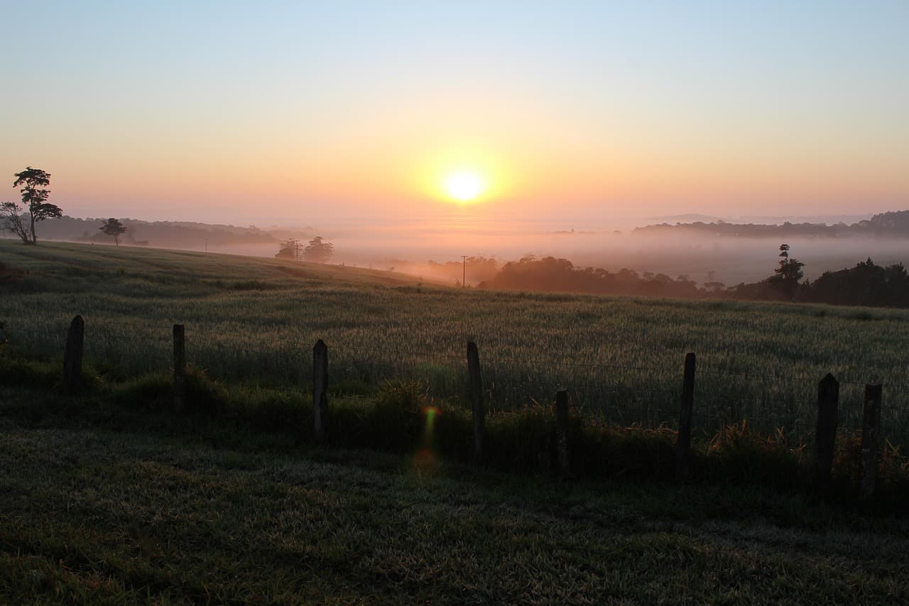 Amanecer brumoso sobre campos y árboles con luz dorada, en la sala de chat de Itapetininga