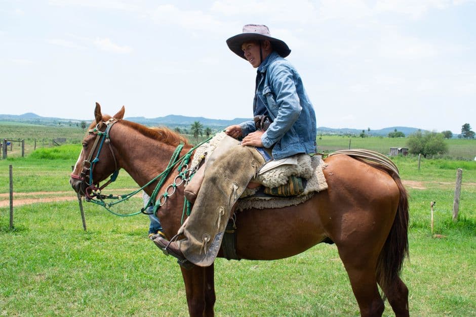 Hombre a caballo en un campo abierto, en la sala de chat de Pedro Juan Caballero