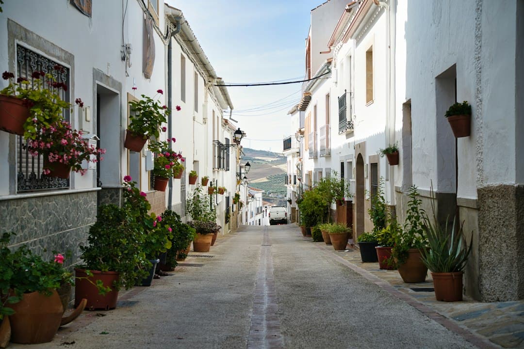 Calle estrecha con macetas a ambos lados, en el chat de Oyón-Oion