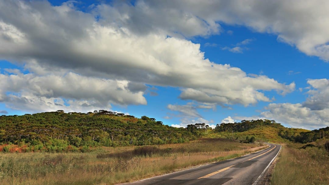 Carretera de asfalto entre campos verdes bajo un cielo con nubes, en el chat de Toledo
