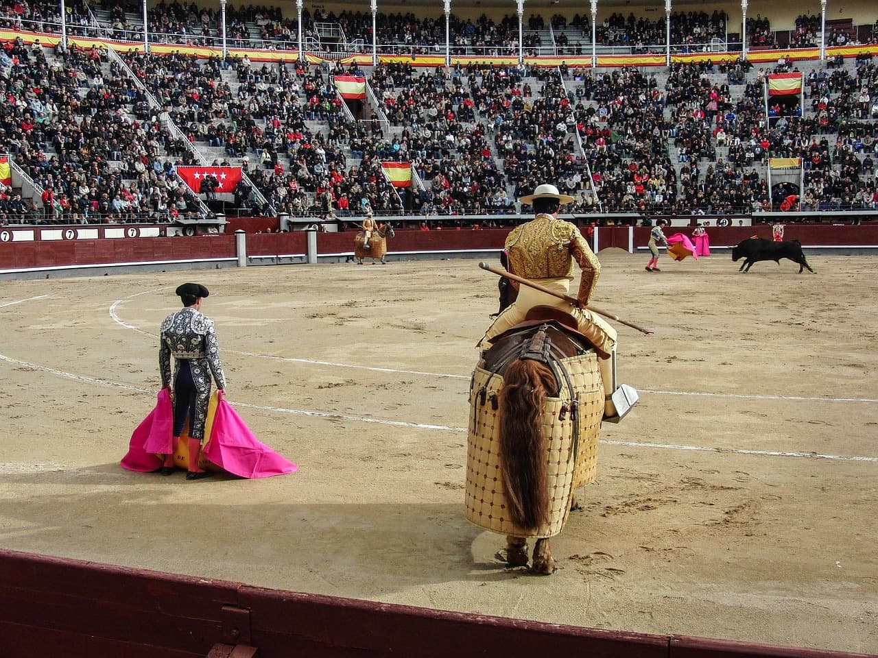 Plaza de toros con un torero y un toro, en el chat de Touro