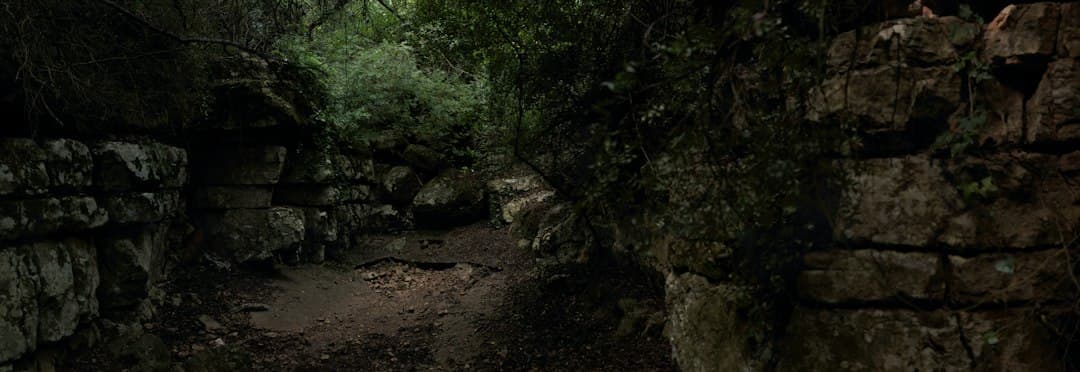 Un estrecho sendero iluminado por luz tenue dentro de una cueva, en el chat de Subirats