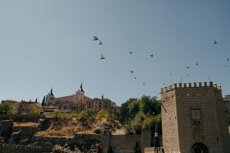 Aves sobrevolando edificios históricos bajo el cielo, en la sala de chat de Tordoia