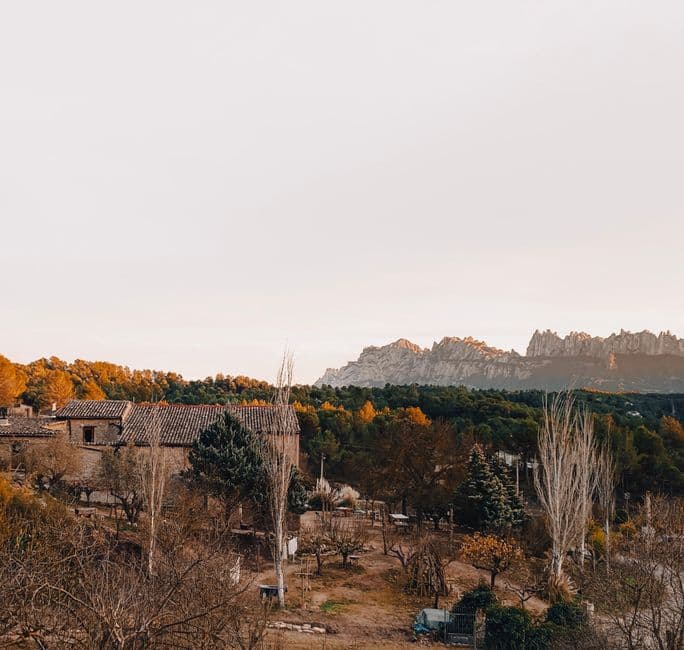 Pueblo de casas piedra junto a bosque frondoso, en el chat de Sant Esteve de Palautordera