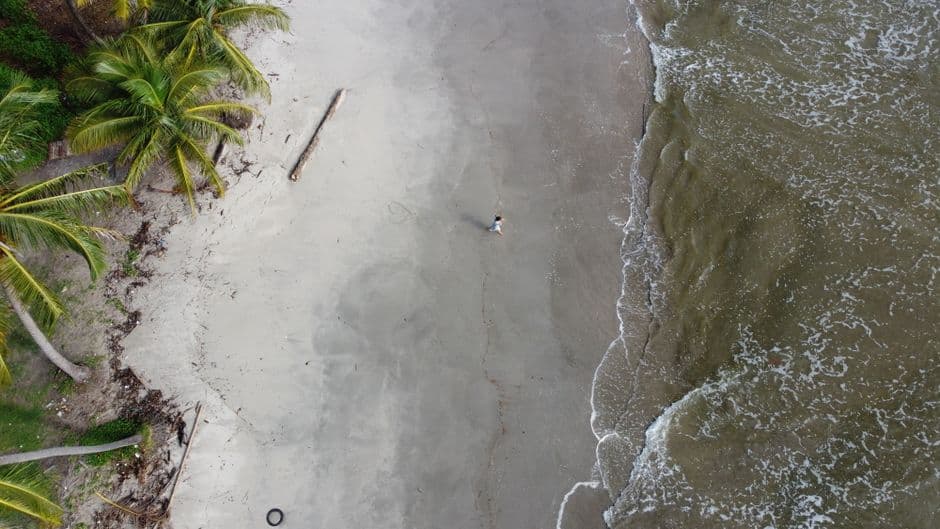 Playa vacía con palmeras y mar azul en la sala de chat de Luba