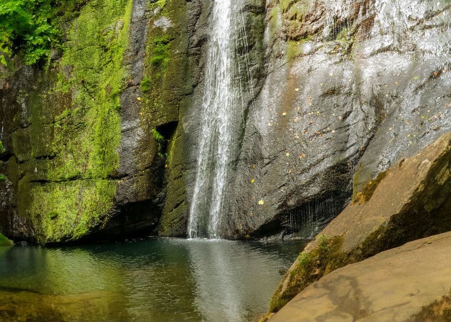 Cascada que desciende entre densa vegetación verde, en la sala de chat de A Fonsagrada
