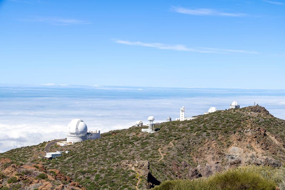 Palmera bajo nubes sobre terreno árido, en la sala de chat de La Palma de Cervelló