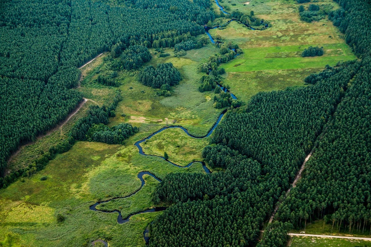 Paisaje de un río con naturaleza verde, en el chat de Palenque