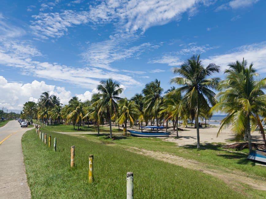 Palmeras alinean una carretera costera bajo cielo azul, en la sala de chat de El Porvenir