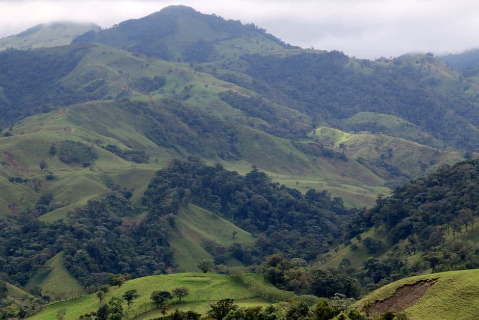 Cadenas montañosas verdes con valles y niebla, en la sala de chat de Montes de Oro