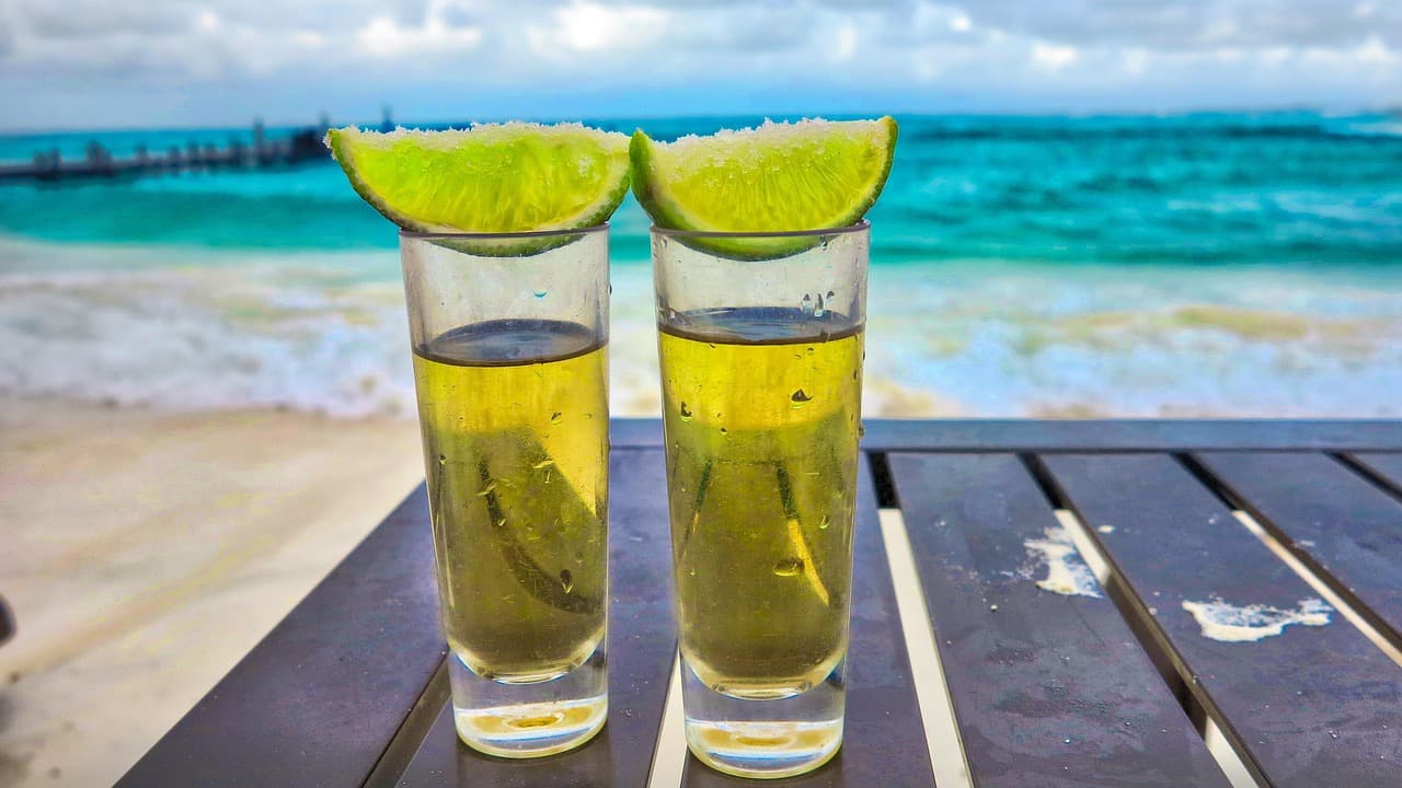 Cóctel de tequila con fruta tropical, mesa soleada, en la sala de chat de Tequila