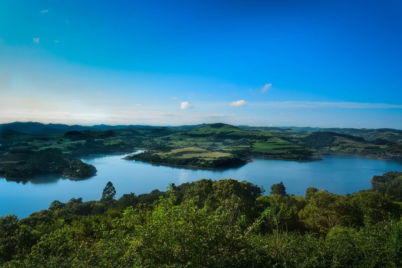 Río entre árboles del bosque, en el chat de Chapecó