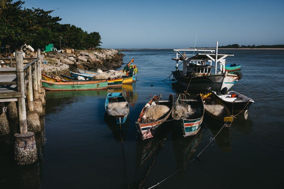 Barcos de pesca coloridos bajo el sol en un puerto brasileño, en el chat de Cametá