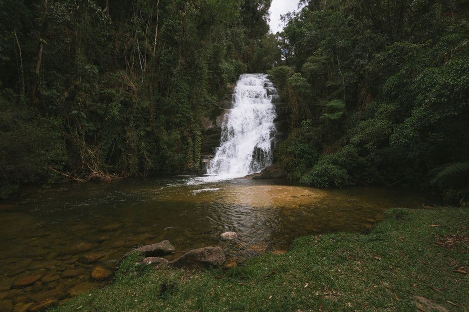 Cascada rodeada de árboles verdes que caen al agua, en la sala de chat de Cachoeirinha