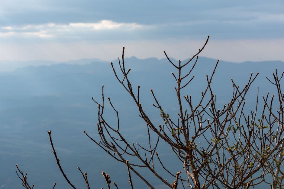 Paisaje sereno de montaña en Minas Gerais, en el chat de Teófilo Otoni