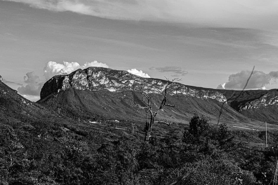 Árboles y montañas en un paisaje blanco y negro, en la sala de chat de Cangaíba