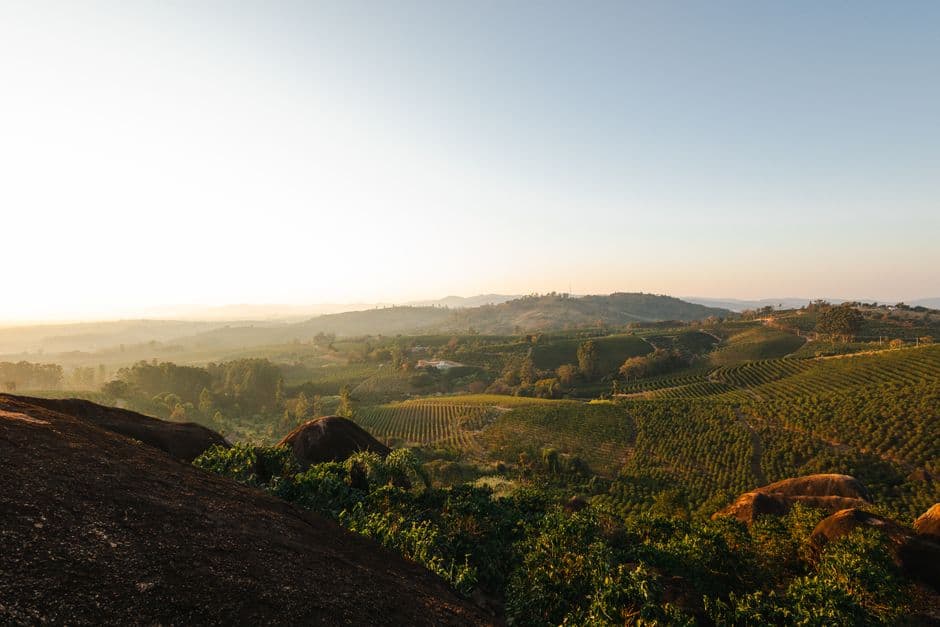 Plantación de café en un paisaje de Brasil, en el chat de Colatina