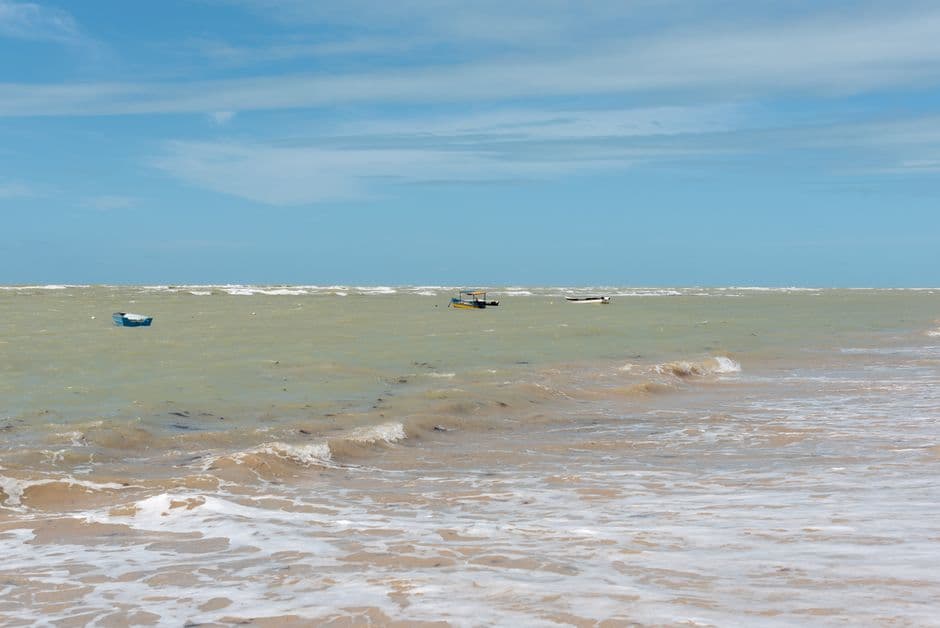 Playa con arena, mar tranquilo y palmeras, cielo azul, en la sala de chat de Igarassu