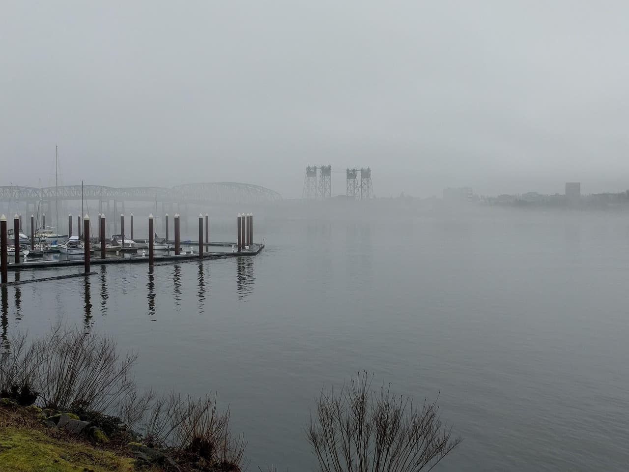 Isla entre la niebla, en el chat de Columbia