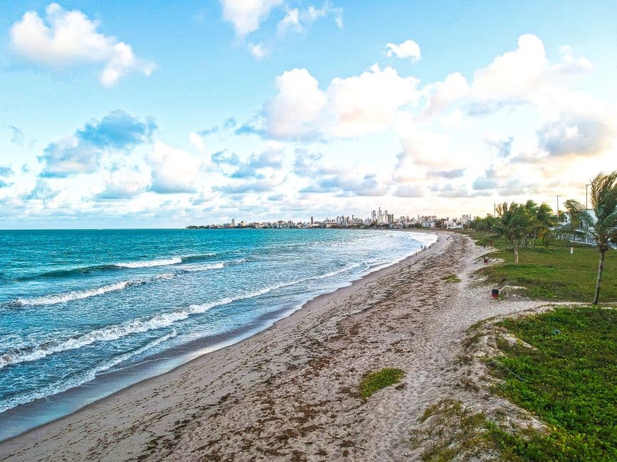 Playa con arena dorada y palmeras verdes bajo cielo azul, en el chat de Miramar