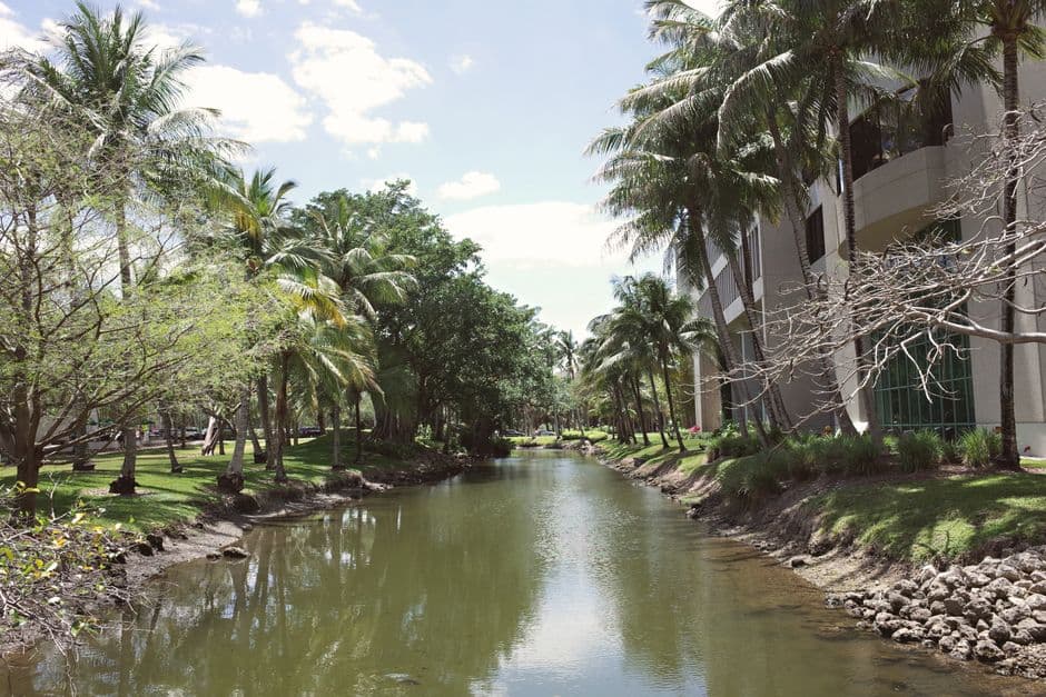 Canal con vegetación y edificios universitarios cielo claro, en la sala de chat de Coral Springs