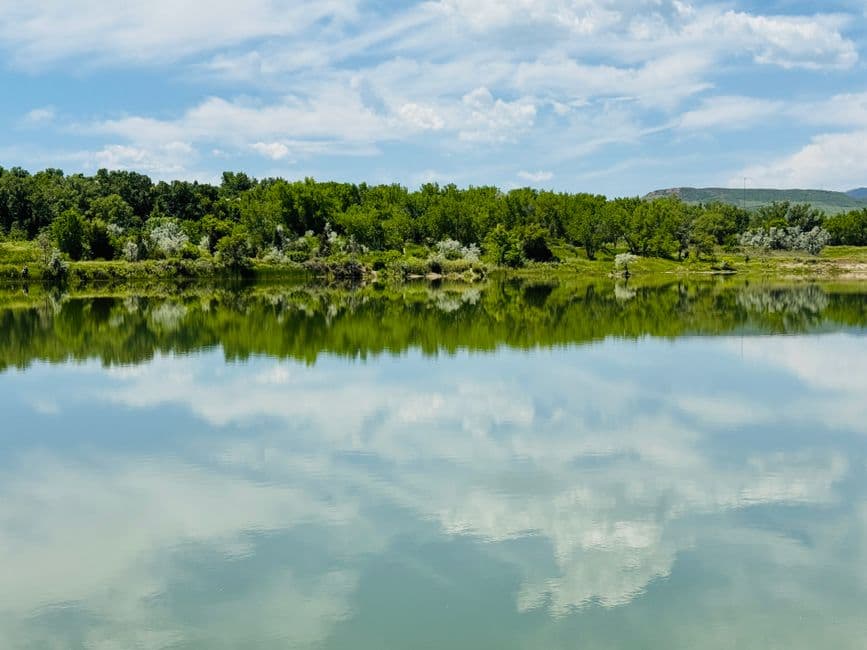Lago reflejante entre bosque bajo el sol de verano, en la sala de chat de Arvada