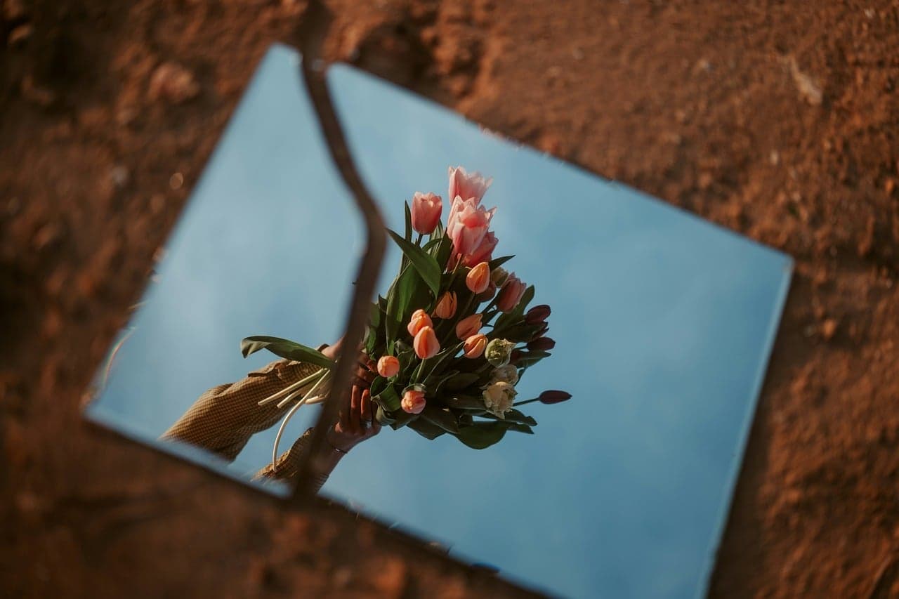 Flores reflejadas en un espejo, en el chat de Broken Arrow