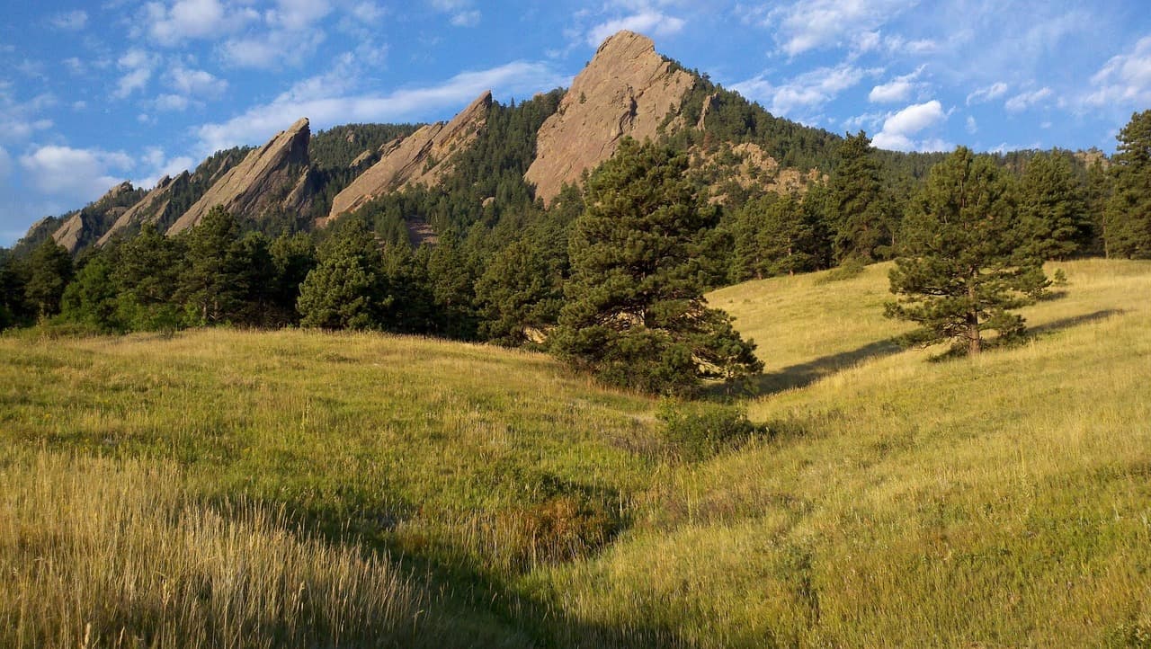 Camino entre pinos con vista a los Flatirons, en la sala de chat de Boulder