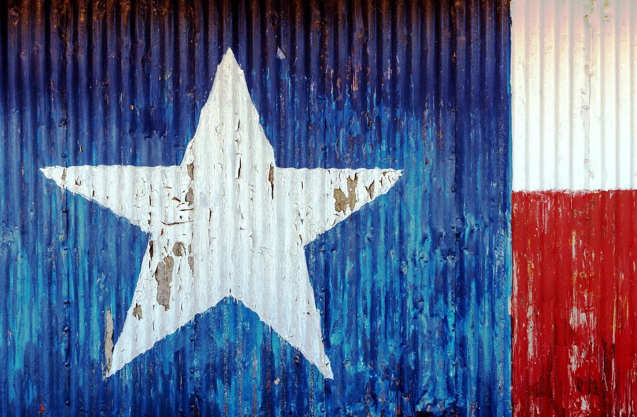 Horizonte con cielo azul y vegetación desértica de Texas, en la sala de chat de Davie