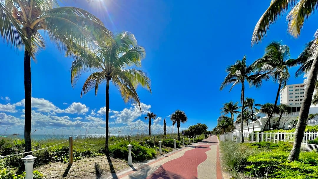 Acera flanqueada por palmeras junto a una playa, en el chat de Miami Gardens
