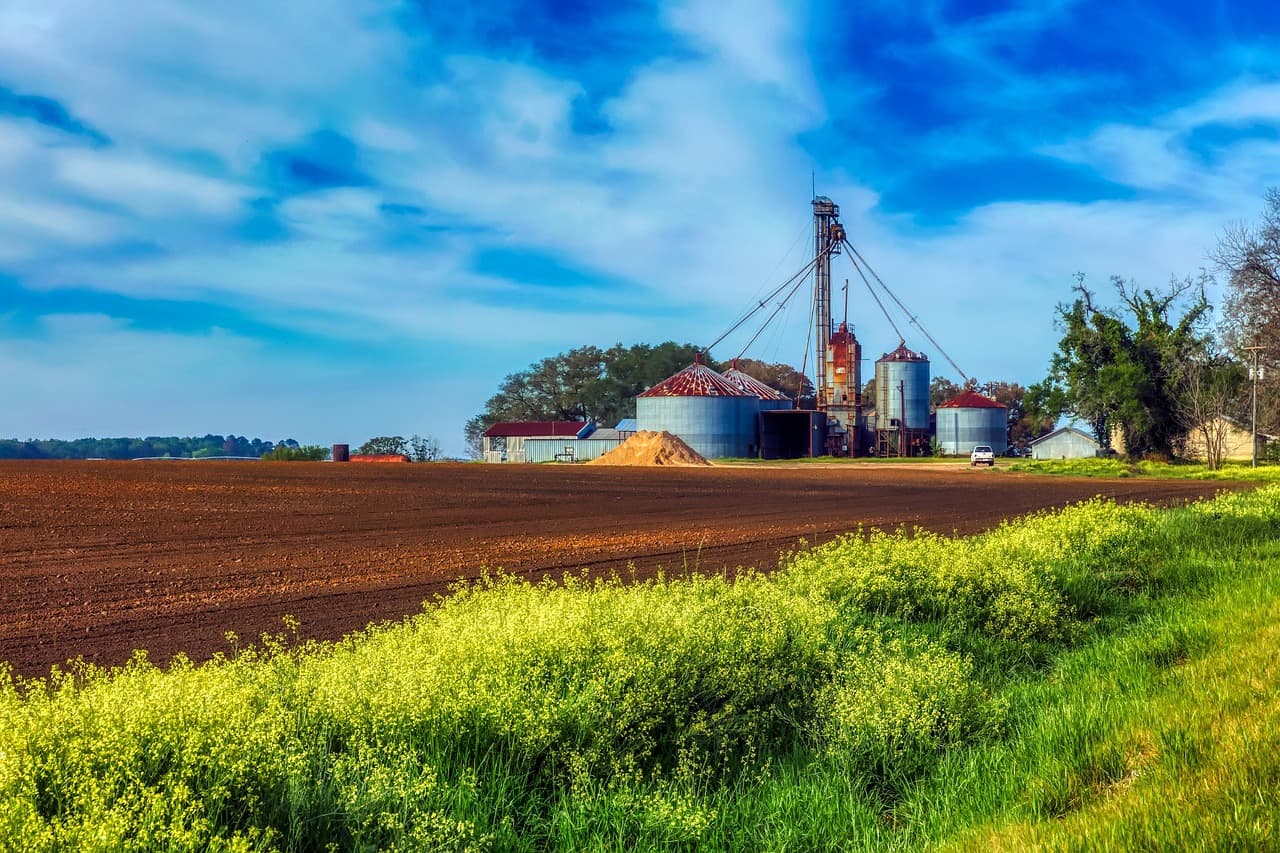 Campo de cultivo bajo un cielo con nubes, en el chat de South Fulton