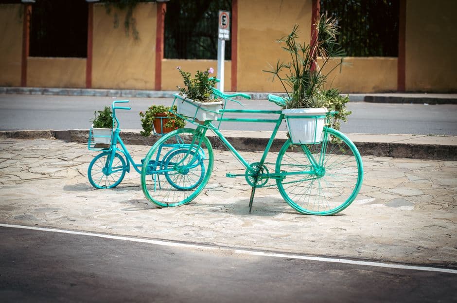 Bicicleta convertida en jardinera en una calle de Tarija, en el chat de Entre Ríos