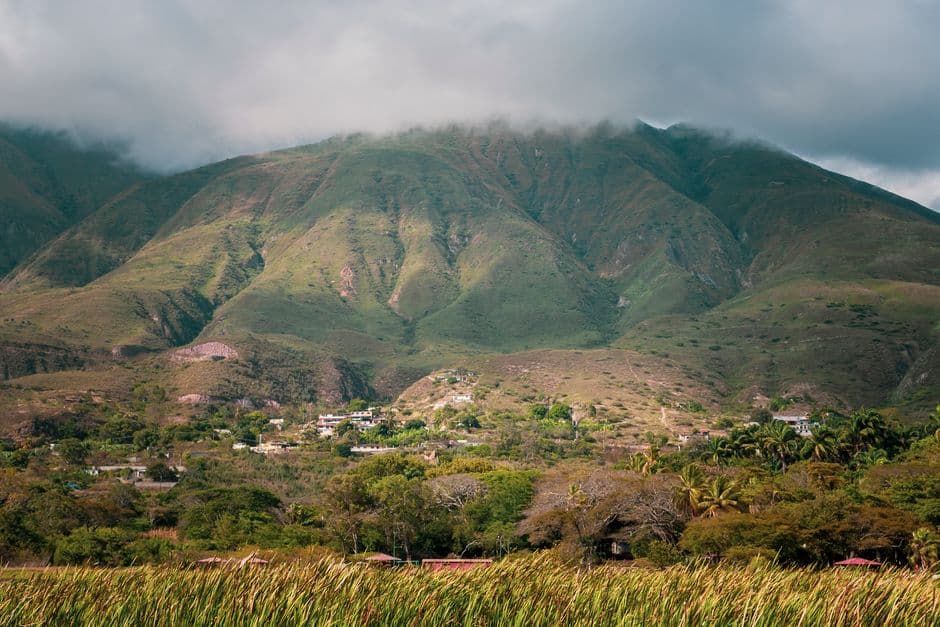 Colina cubierta de vegetación verde, en el chat de Araure