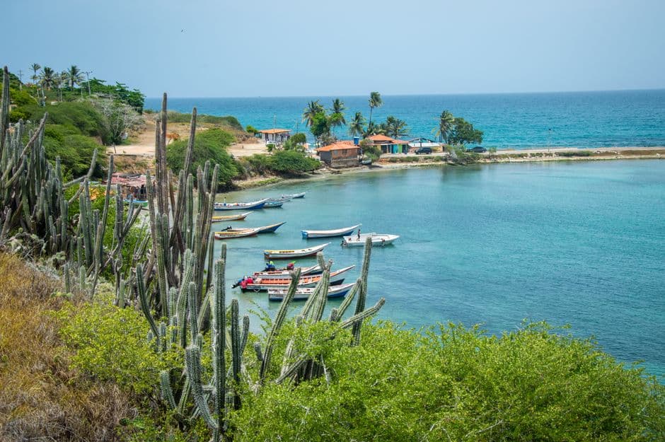 Arbustos y cactus en una colina junto a la costa, en el chat de Mariara