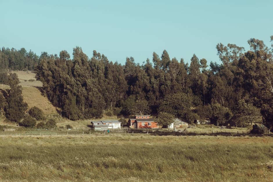 Aldea rodeada de bosque, en el chat de Coronel