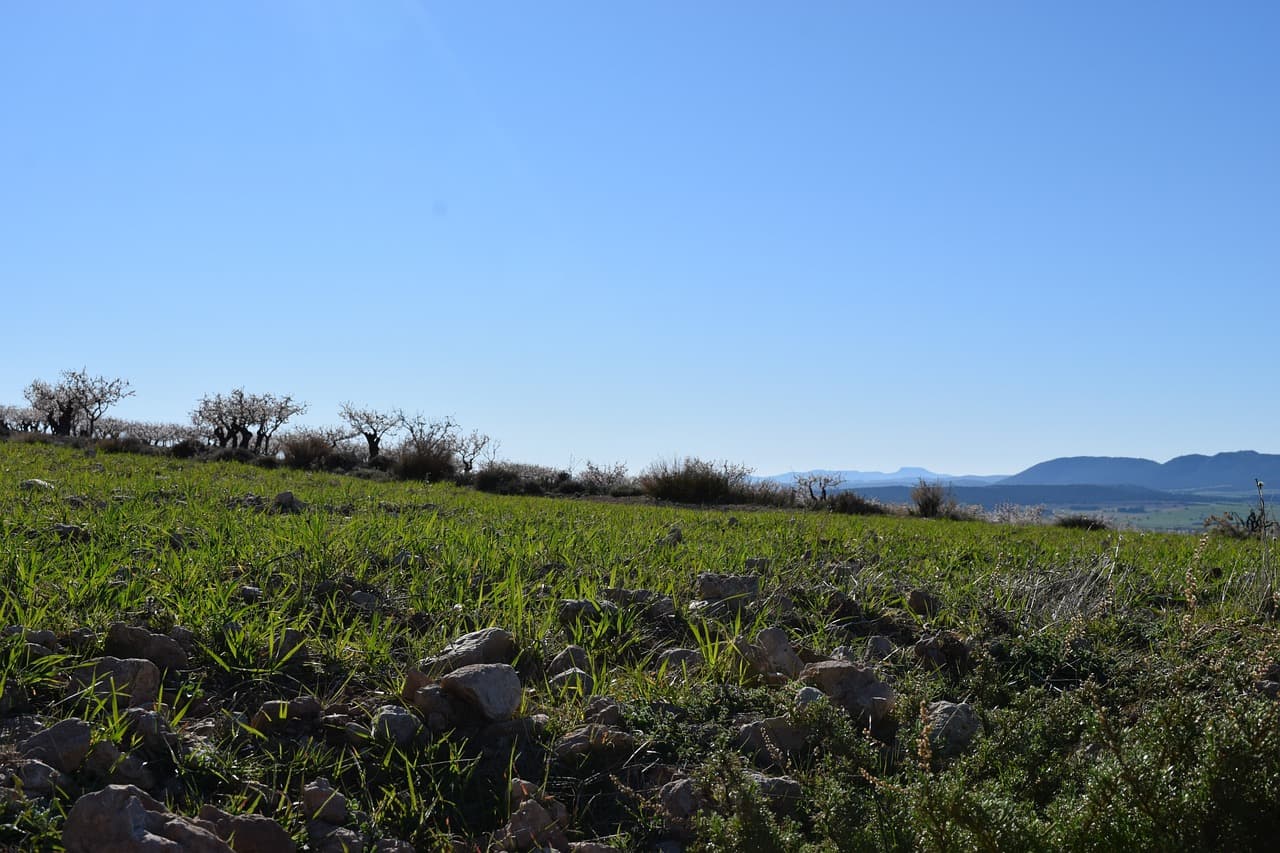 Campo y paisaje natural, en el chat de La Cañada