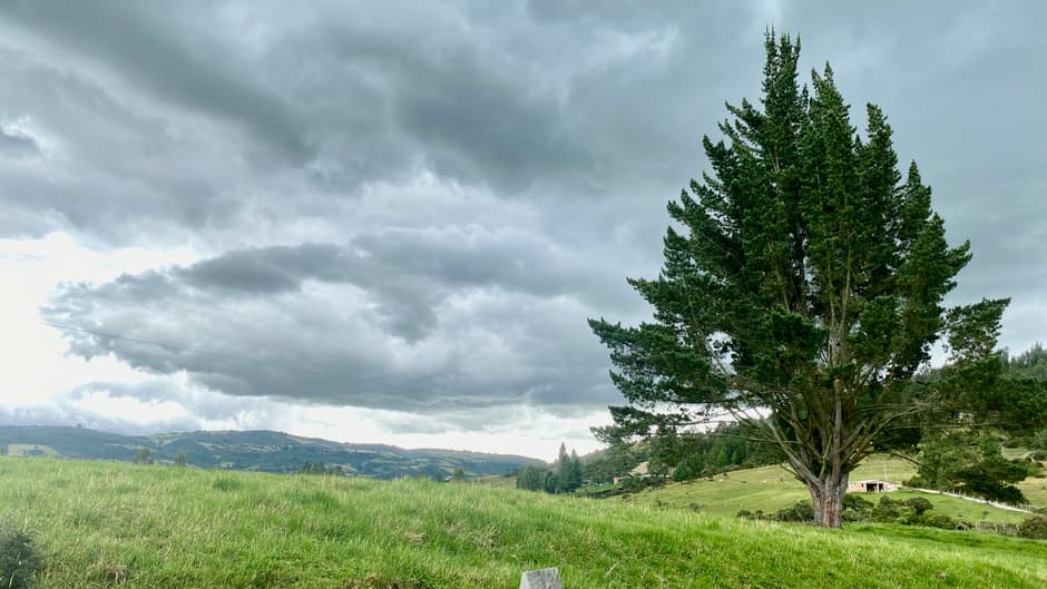 Prado de montaña en verano, en el chat de Acacías