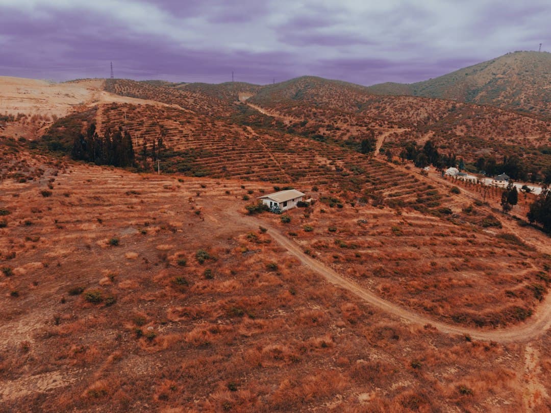 Vista aérea de un camino de tierra en medio de un campo, en el chat de Quillota