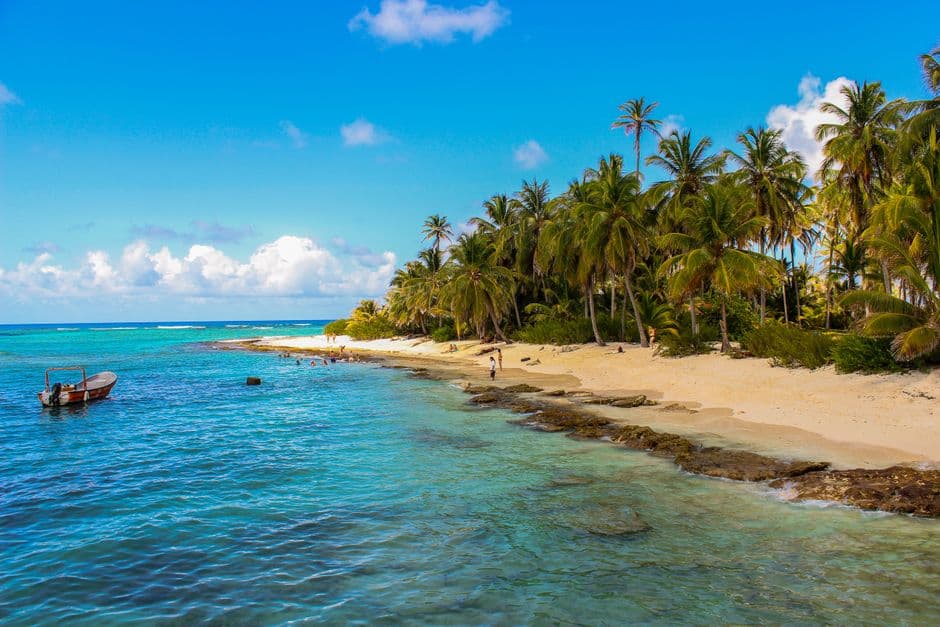Palmeras verdes en la playa bajo un cielo azul, en el chat de San Andrés