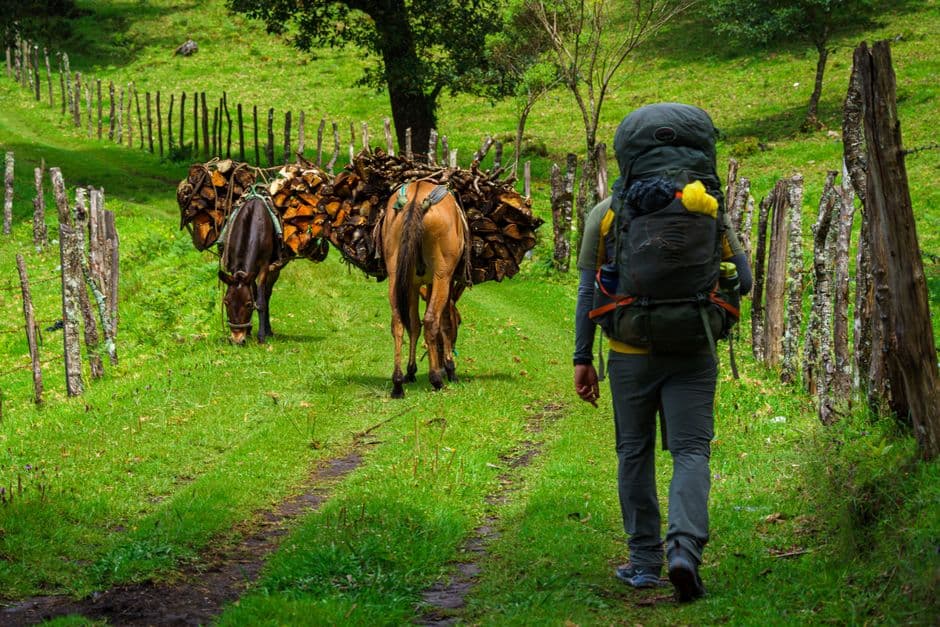 Senderista caminando con burros por un camino de montaña, en el chat de Salamá